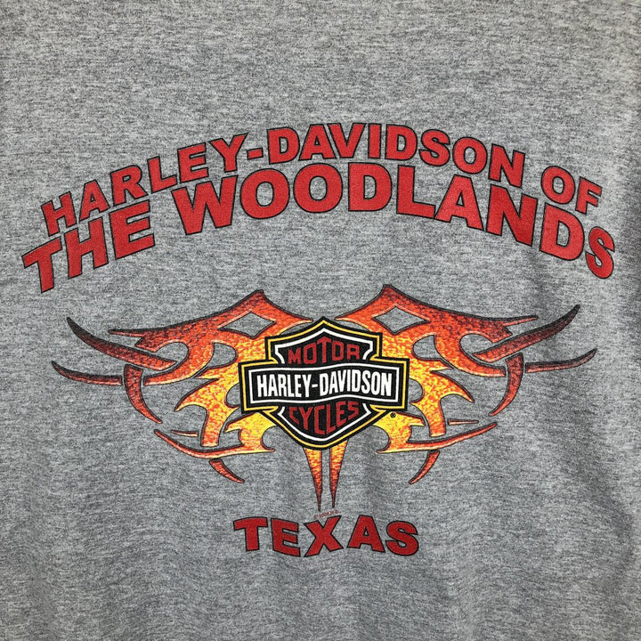 2000'S Harley-Davidson Fire Pattern Skull Pattern Long-Sleeve T-Shirt (Men's XXL equivalent) unclear gray type Vintage Second Hand