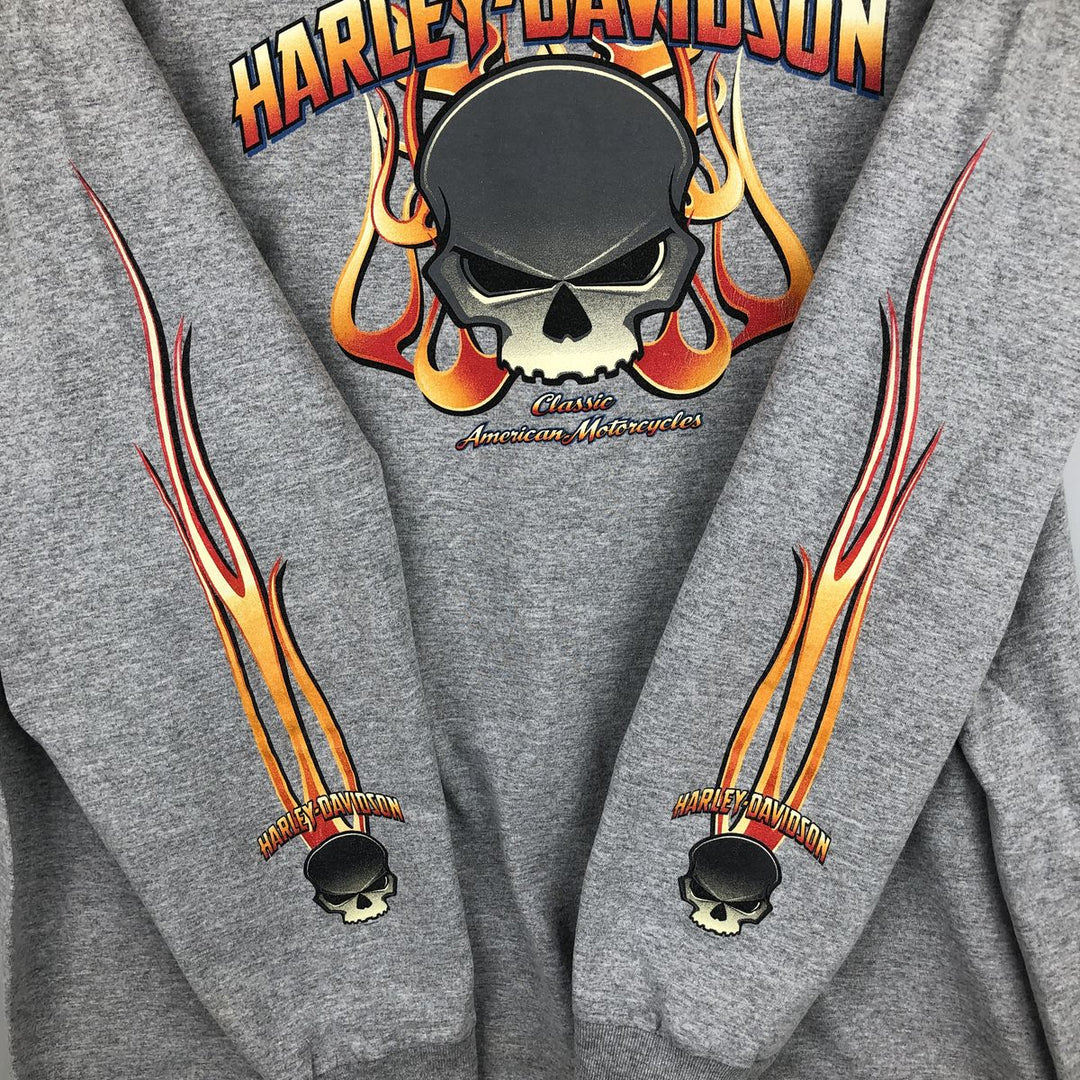 2000'S Harley-Davidson Fire Pattern Skull Pattern Long-Sleeve T-Shirt (Men's XXL equivalent) unclear gray type Vintage Second Hand