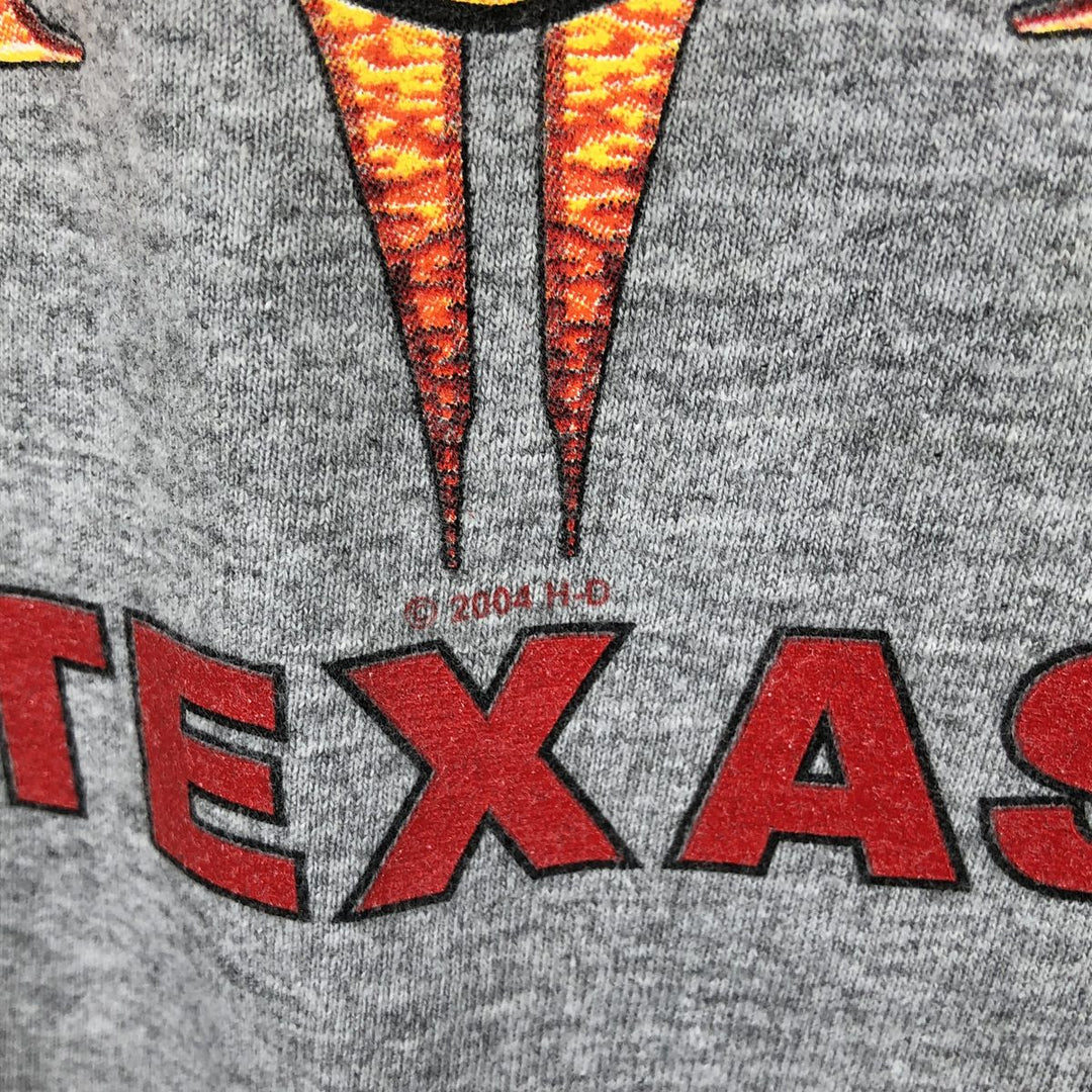 2000'S Harley-Davidson Fire Pattern Skull Pattern Long-Sleeve T-Shirt (Men's XXL equivalent) unclear gray type Vintage Second Hand