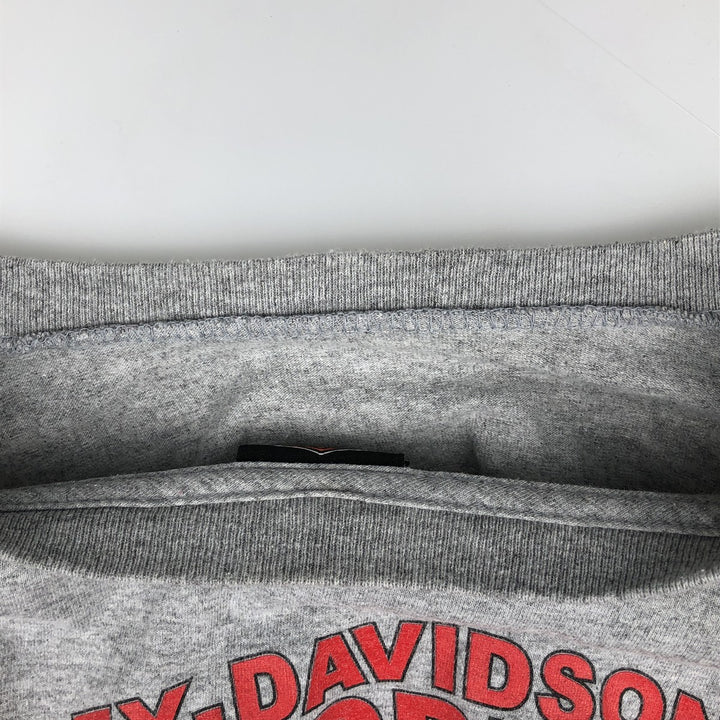 2000'S Harley-Davidson Fire Pattern Skull Pattern Long-Sleeve T-Shirt (Men's XXL equivalent) unclear gray type Vintage Second Hand
