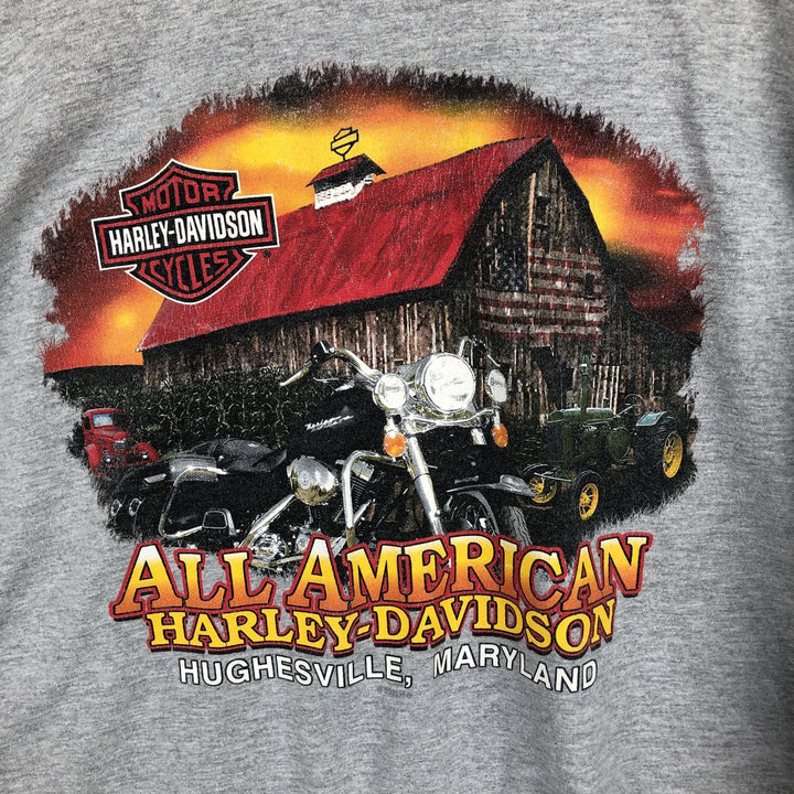 2000'S Harley-Davidson Skull Pattern Motorcycle Long-Sleeve T-Shirt, Made in USA, Men's XL equivalent. cotton gray type Vintage Second Hand