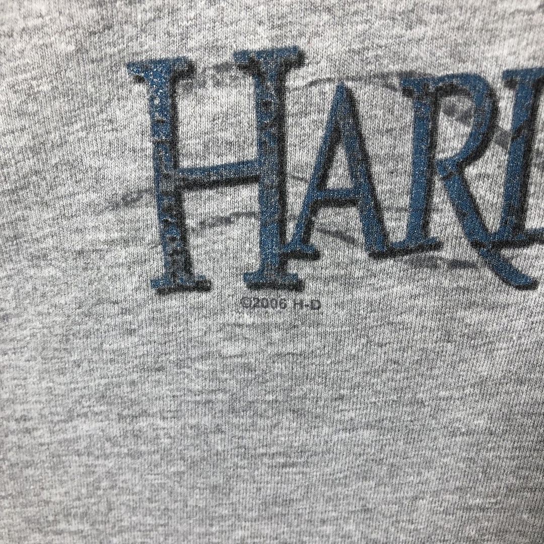 2000'S Harley-Davidson Skull Pattern Motorcycle Long-Sleeve T-Shirt, Made in USA, Men's XL equivalent. cotton gray type Vintage Second Hand