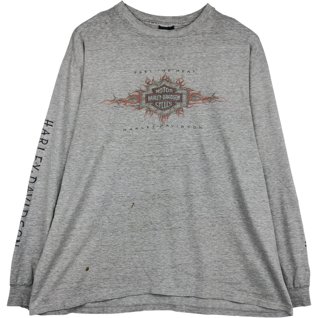 Hanes Harley-Davidson Eagle Pattern Long-Sleeve T-Shirt, Made in USA, Men's XXL equivalent. cotton gray type Vintage Second Hand