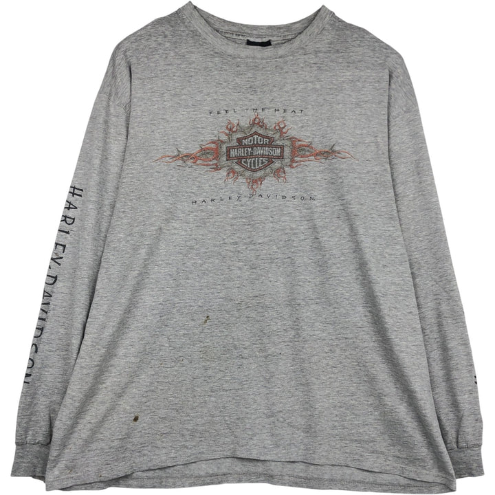 Hanes Harley-Davidson Eagle Pattern Long-Sleeve T-Shirt, Made in USA, Men's XXL equivalent. cotton gray type Vintage Second Hand