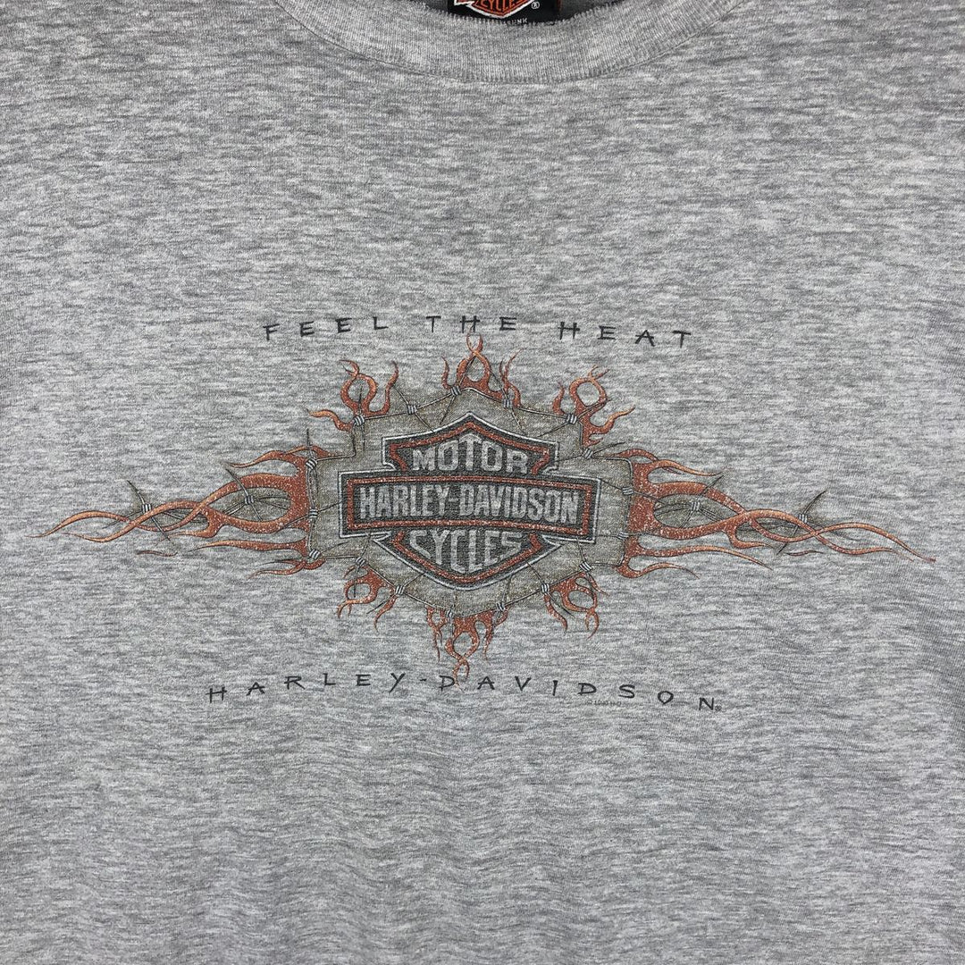 Hanes Harley-Davidson Eagle Pattern Long-Sleeve T-Shirt, Made in USA, Men's XXL equivalent. cotton gray type Vintage Second Hand
