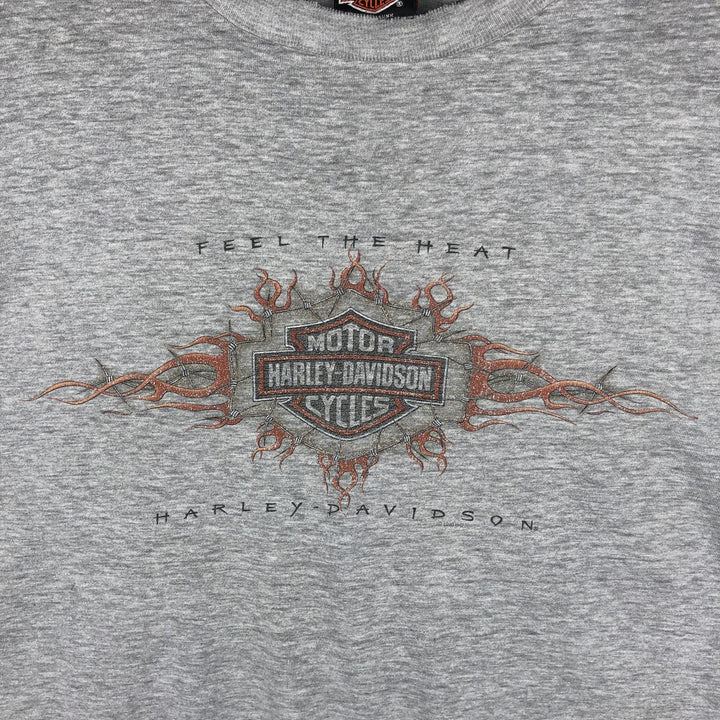 Hanes Harley-Davidson Eagle Pattern Long-Sleeve T-Shirt, Made in USA, Men's XXL equivalent. cotton gray type Vintage Second Hand