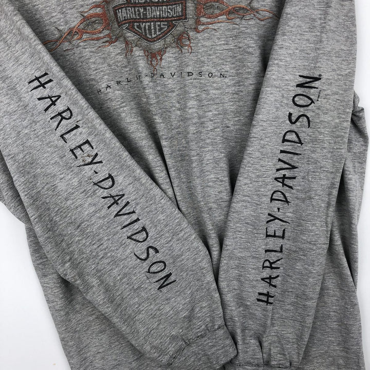 Hanes Harley-Davidson Eagle Pattern Long-Sleeve T-Shirt, Made in USA, Men's XXL equivalent. cotton gray type Vintage Second Hand