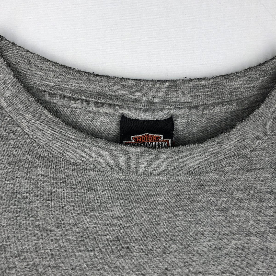 Hanes Harley-Davidson Eagle Pattern Long-Sleeve T-Shirt, Made in USA, Men's XXL equivalent. cotton gray type Vintage Second Hand