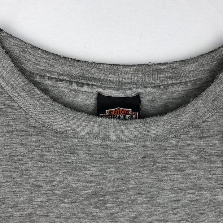 Hanes Harley-Davidson Eagle Pattern Long-Sleeve T-Shirt, Made in USA, Men's XXL equivalent. cotton gray type Vintage Second Hand