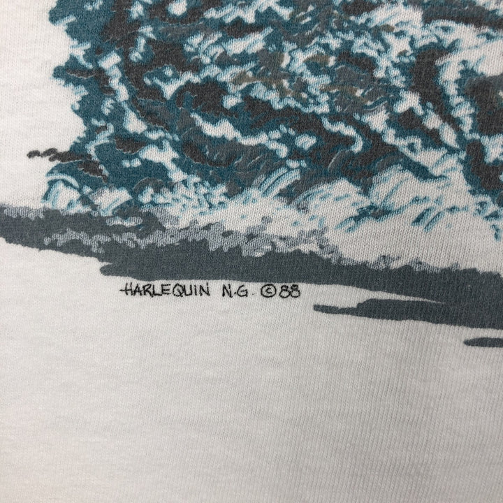 80'S THE NATURE COMPANY Elephant Pattern Animal T-Shirt, Made in USA, Men's Size M (Equivalent), Vintage cotton white type Vintage Second Hand