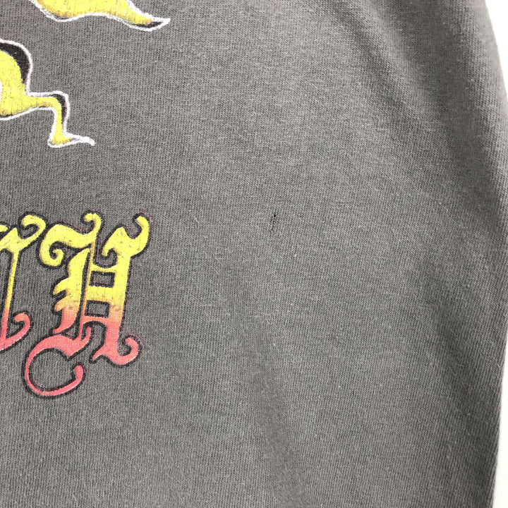SUBLIME Band T-shirt, Men's L size unclear gray type Vintage Second Hand