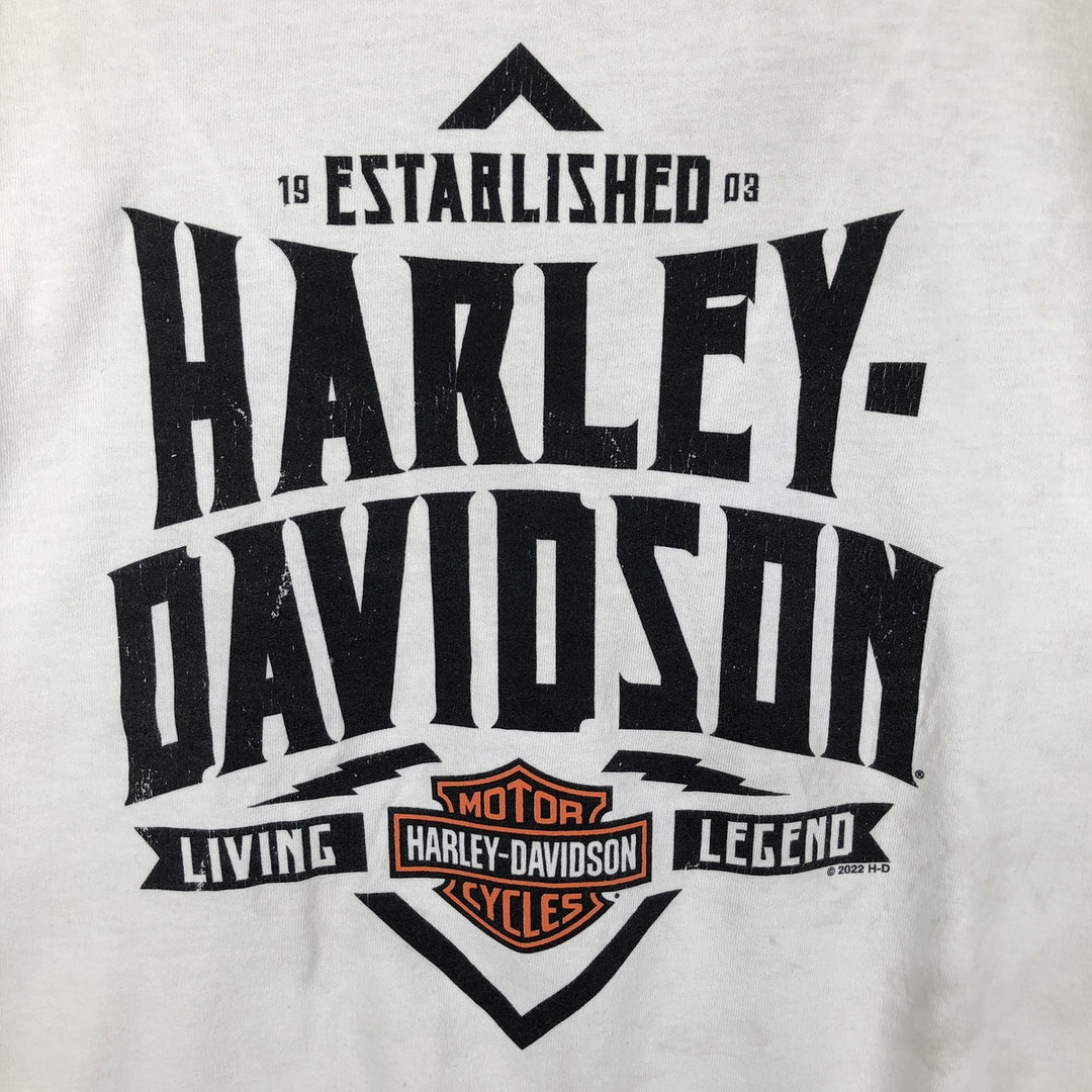 Harley-Davidson Eagle Pattern Motorcycle Long-Sleeve T-Shirt (Men's Size L) cotton white type Vintage Second Hand