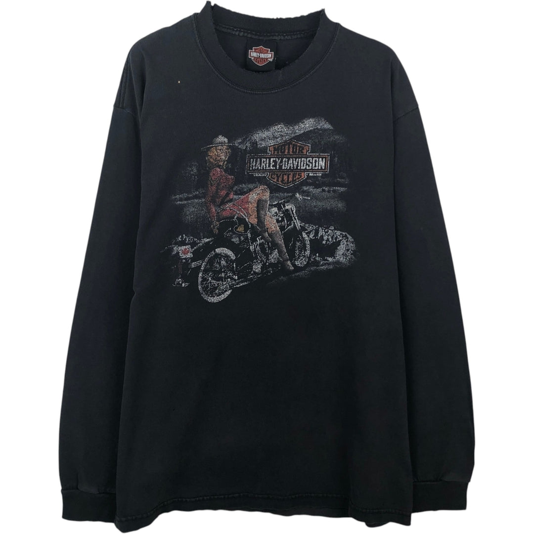 Harley-Davidson Pin-up Girl Motorcycle Long-Sleeve T-Shirt (Men's Size S) unclear black type Vintage Second Hand