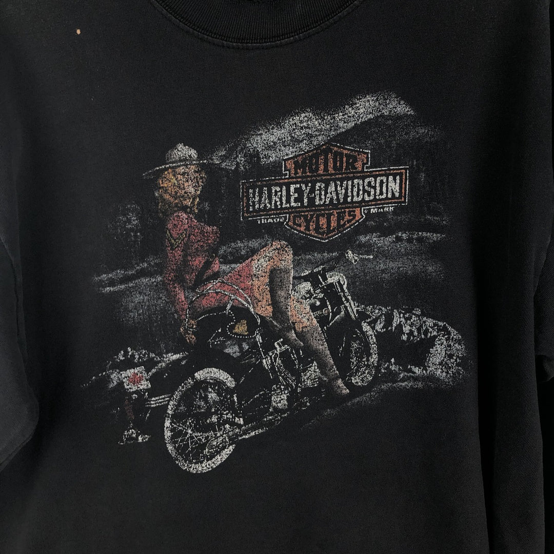 Harley-Davidson Pin-up Girl Motorcycle Long-Sleeve T-Shirt (Men's Size S) unclear black type Vintage Second Hand