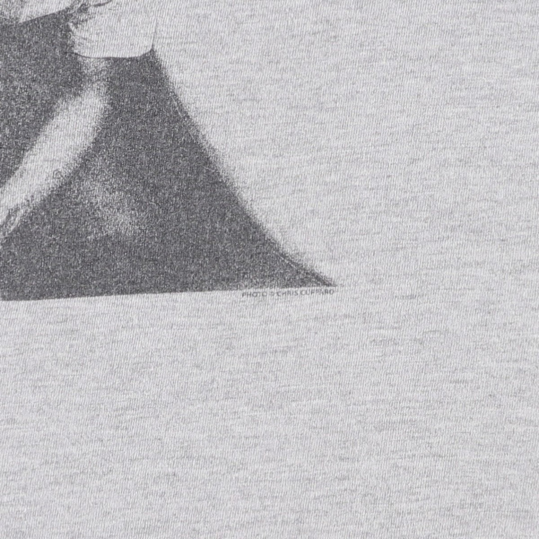 NIRVANA Nirvana Band T-shirt, Band T, Men's M size unclear gray type Vintage Second Hand