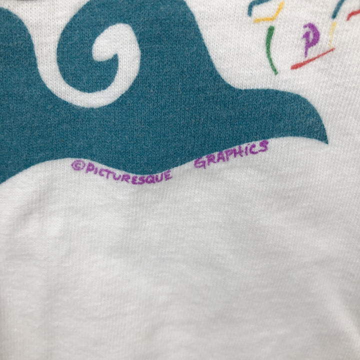 90'S Hanes souvenir T-shirt, men's size L equivalent, vintage. cotton white type Vintage Second Hand