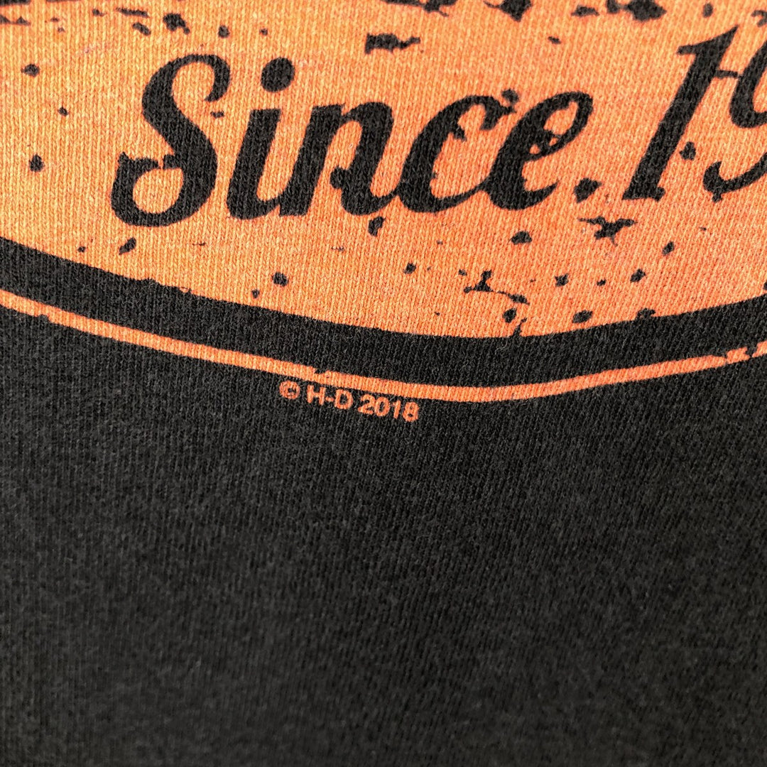 Harley-Davidson Motorcycle Bike T-shirt, Men's Size L cotton black type Vintage Second Hand