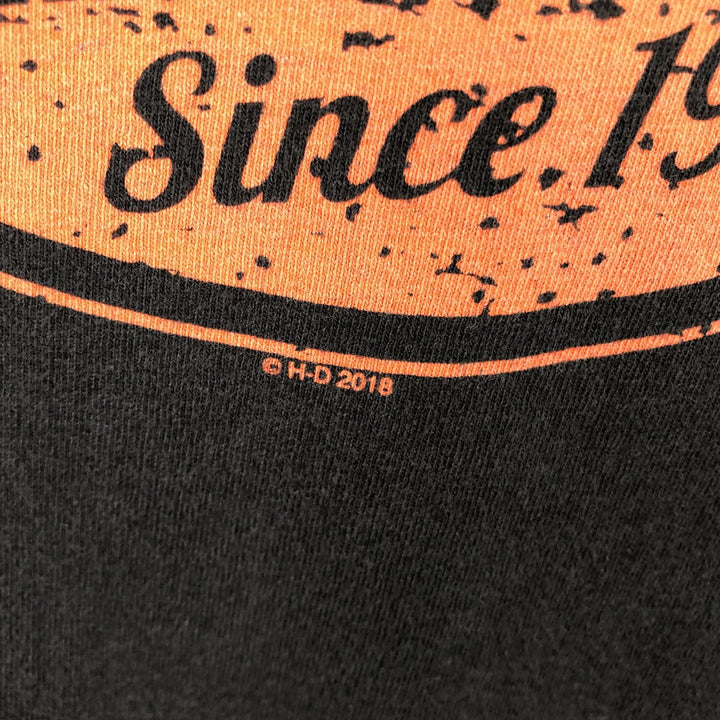 Harley-Davidson Motorcycle Bike T-shirt, Men's Size L cotton black type Vintage Second Hand