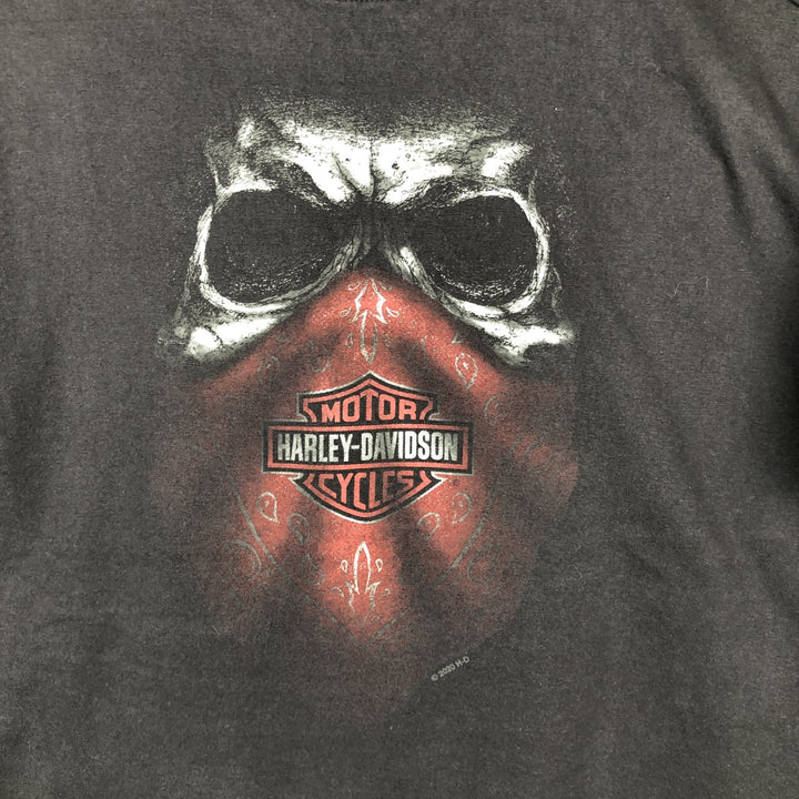 Harley-Davidson Skull Pattern Motorcycle Bike T-shirt Men's M size cotton black type Vintage Second Hand