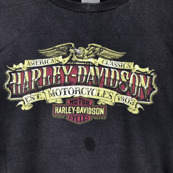 Harley-Davidson Eagle Pattern Motorcycle Bike T-shirt Men's XXL unclear black type Vintage Second Hand