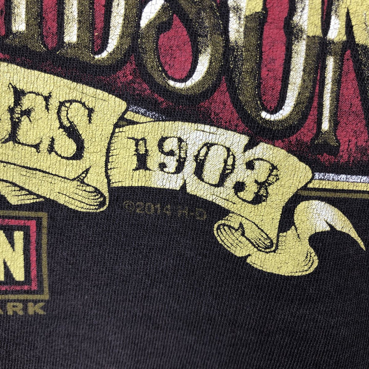 Harley-Davidson Eagle Pattern Motorcycle Bike T-shirt Men's XXL unclear black type Vintage Second Hand