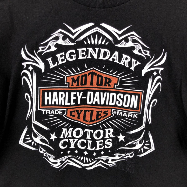 Harley-Davidson Motorcycle Bike T-shirt, Men's Size L cotton black type Vintage Second Hand