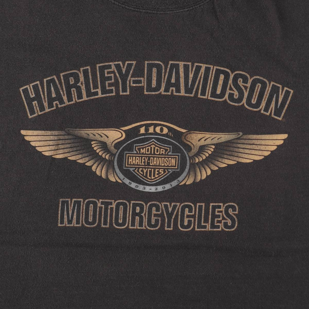 Harley-Davidson Motorcycle Bike T-shirt, Men's XL size cotton black type Vintage Second Hand