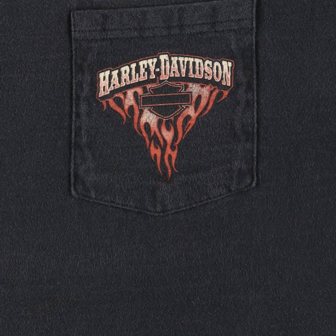 Harley-Davidson Fire Pattern Motorcycle Bike T-Shirt, Men's Size L cotton black type Vintage Second Hand