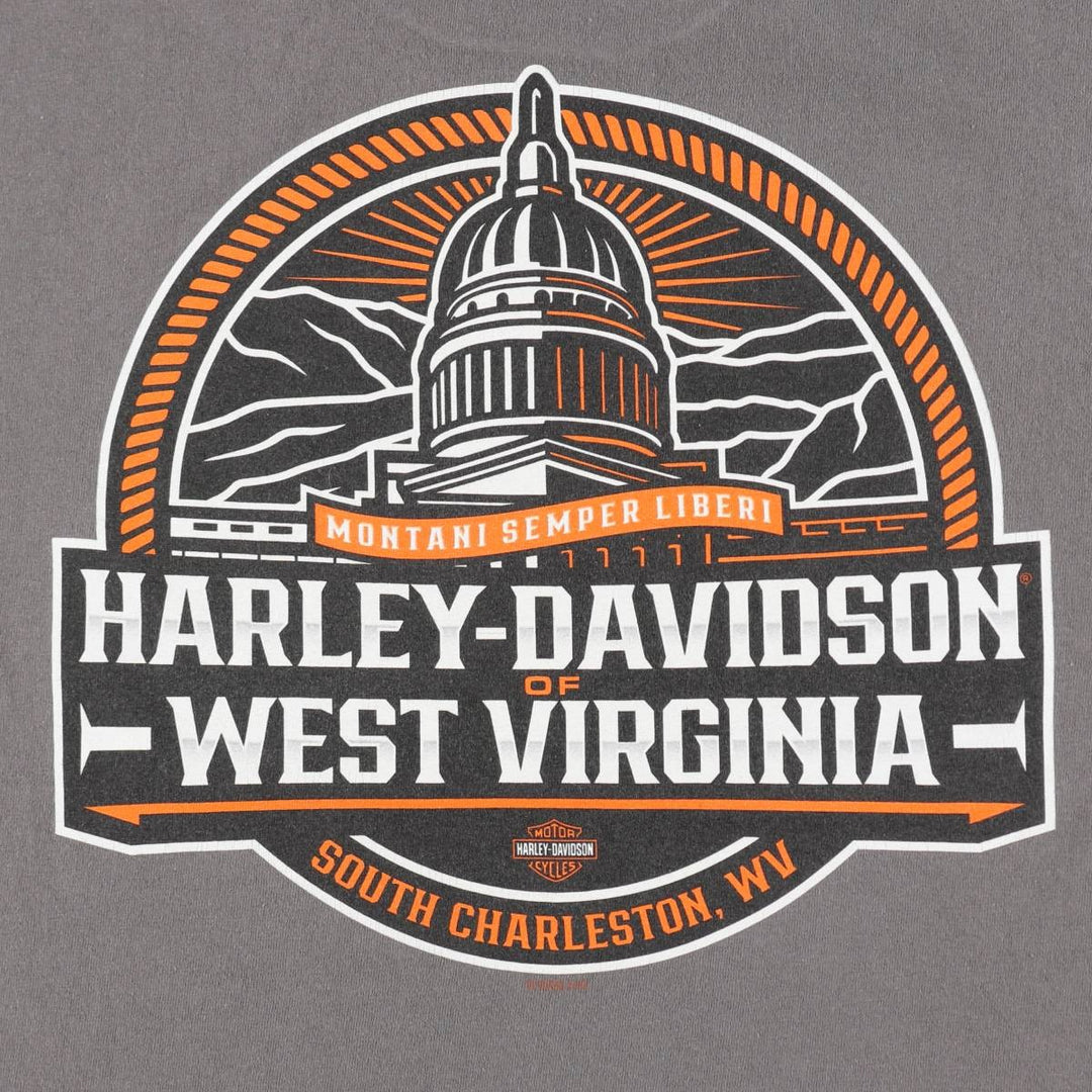 Harley-Davidson Motorcycle Bike T-shirt, Men's XL size cotton Charcoal Vintage Second Hand