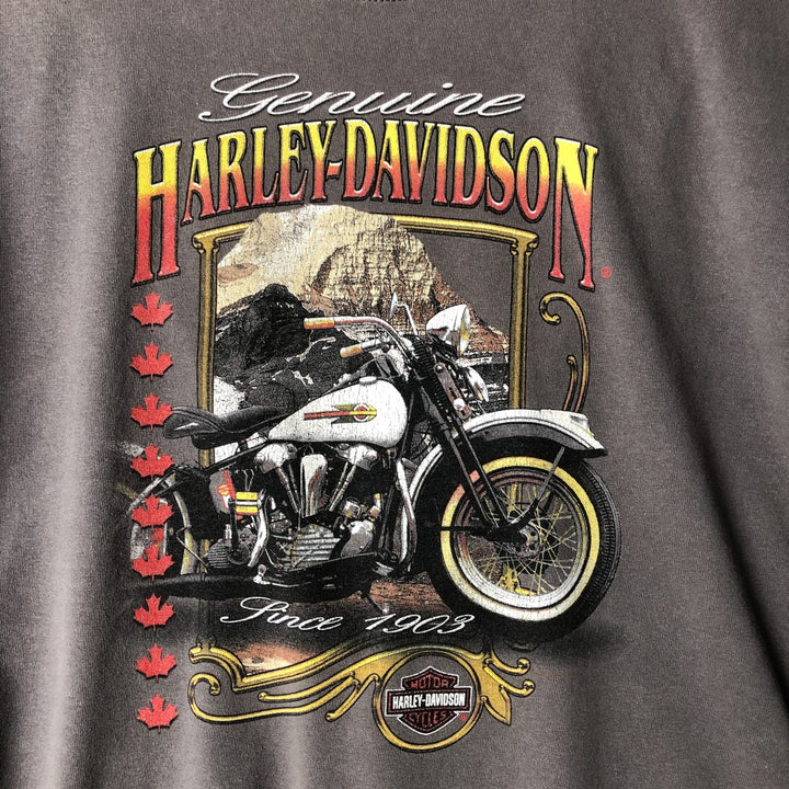 2000'S Harley-Davidson Motorcycle T-Shirt, Made in Canada, Men's Size L (approx.) cotton Charcoal Vintage Second Hand