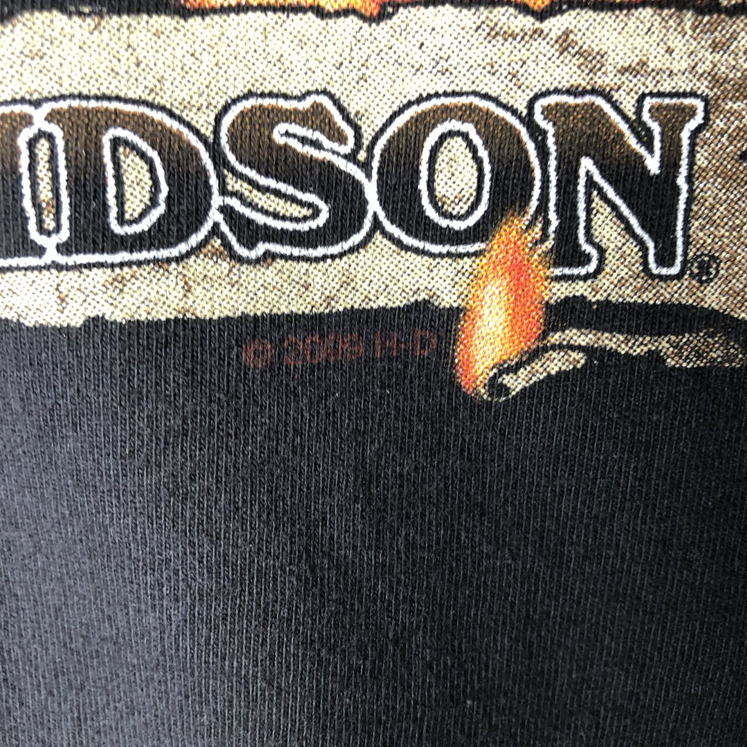 00'S Harley-Davidson Fire Pattern Motorcycle Bike T-Shirt Made in USA Men's XXL cotton black type Vintage Second Hand