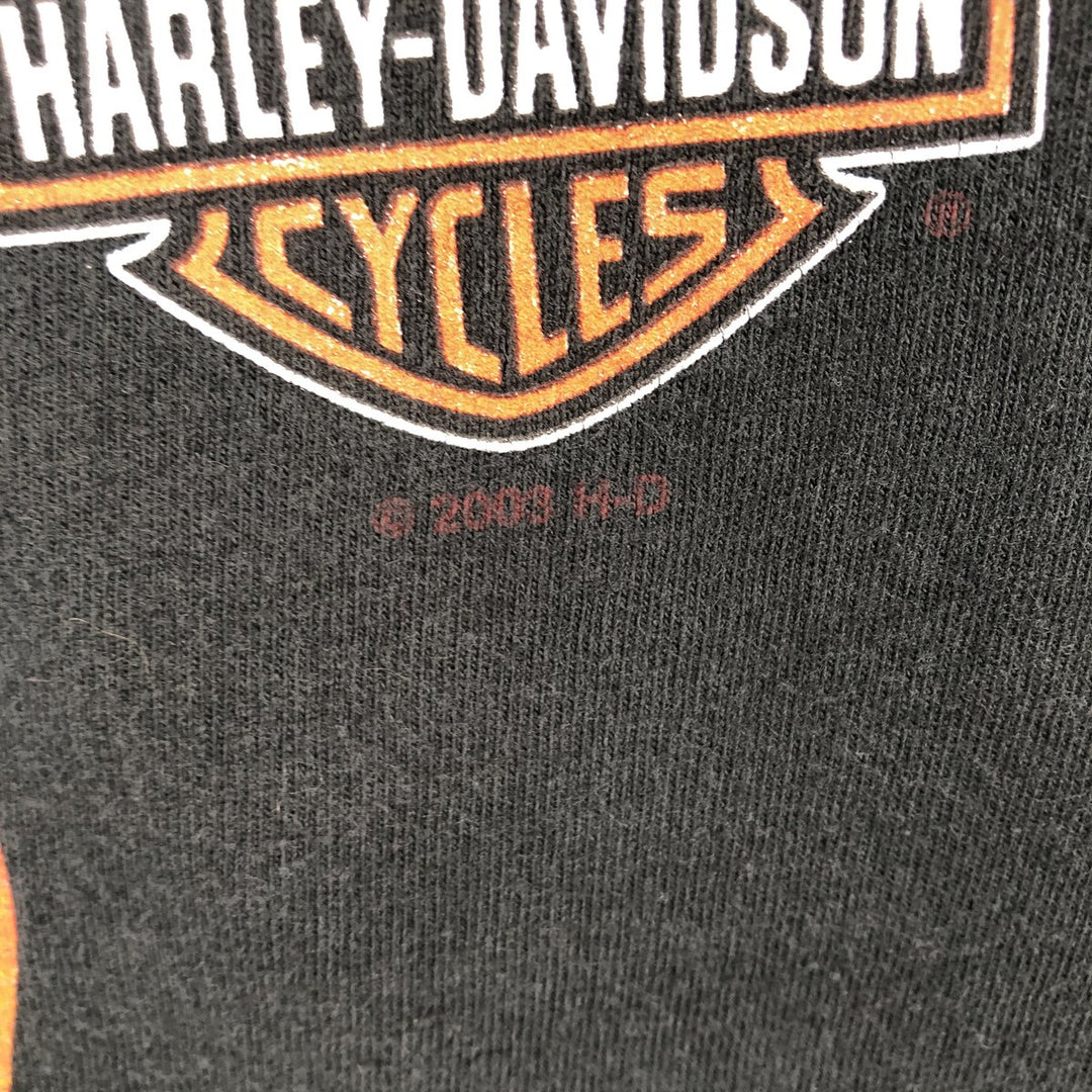 00'S Harley Davidson Eagle Pattern Stars and Stripes Motorcycle Bike T-Shirt Made in USA Men's L size cotton black type Vintage Second Hand