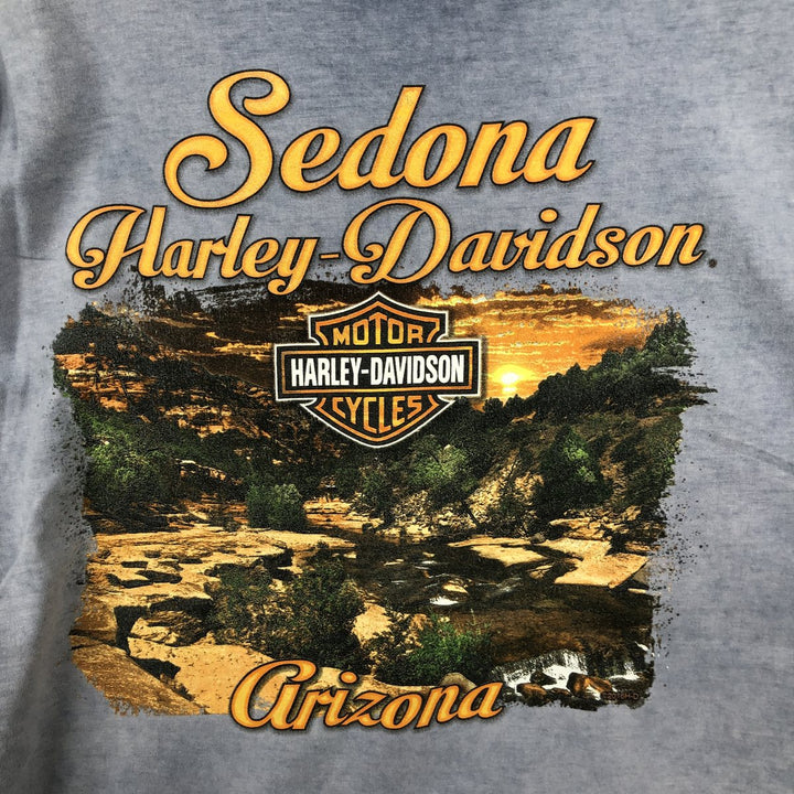Harley-Davidson Motorcycle Bike T-shirt, Men's Size L cotton blue type Vintage Second Hand