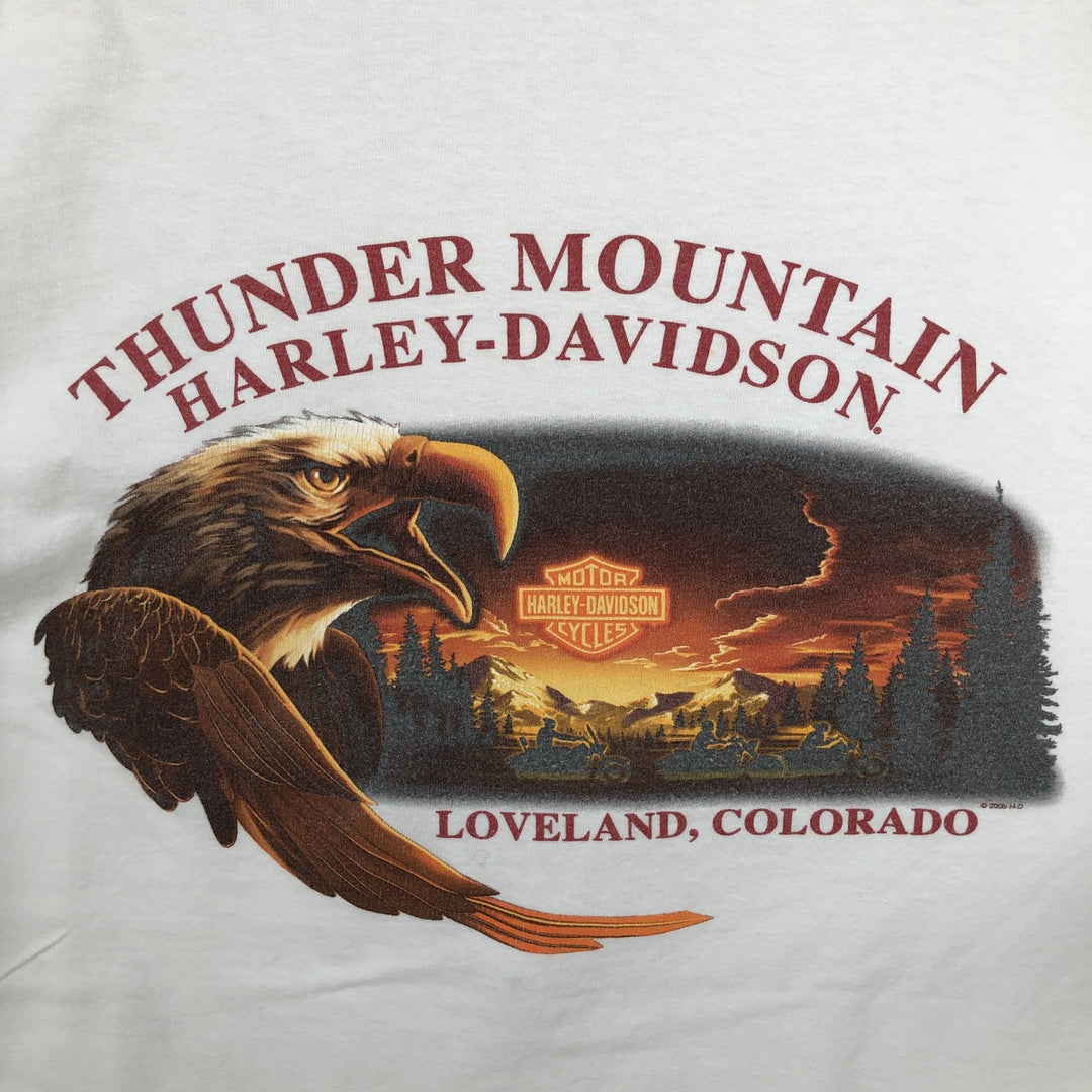 90'S Harley-Davidson Eagle Pattern Motorcycle T-Shirt, Men's Size L (approx.), Vintage cotton white type Vintage Second Hand