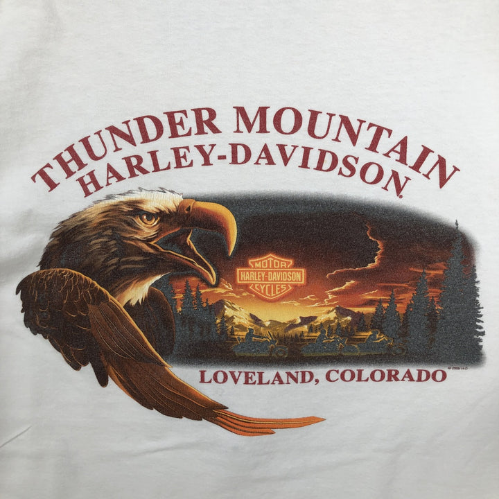 90'S Harley-Davidson Eagle Pattern Motorcycle T-Shirt, Men's Size L (approx.), Vintage cotton white type Vintage Second Hand