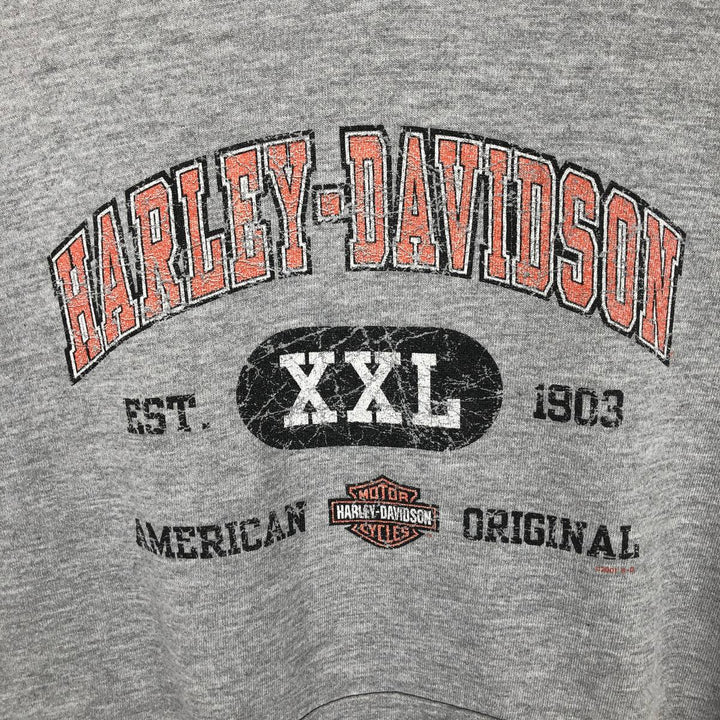 2000'S Harley-Davidson Advertising Pullover Hoodie, Men's Size L unclear gray type Vintage Second Hand