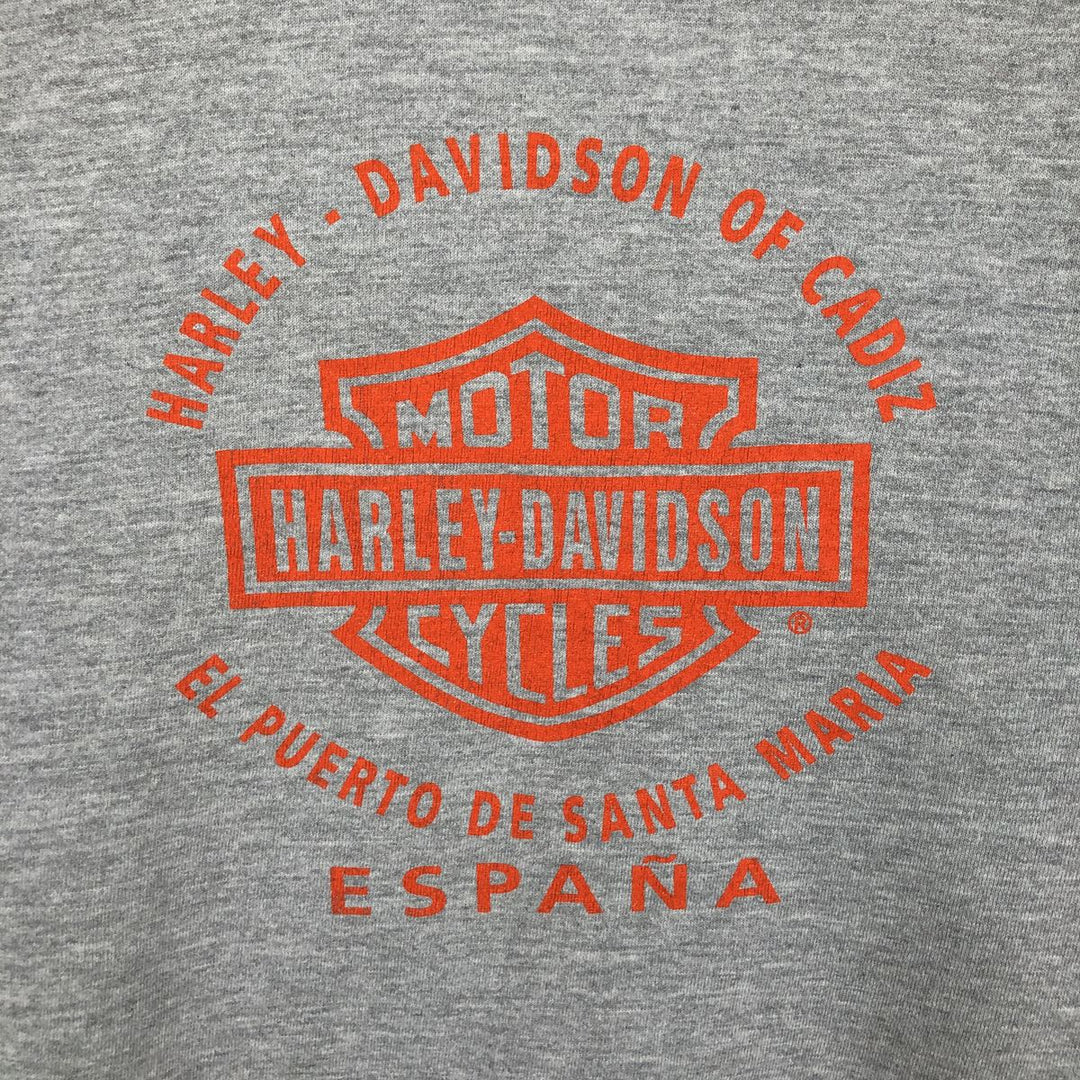 2000'S Harley-Davidson Advertising Pullover Hoodie, Men's Size L unclear gray type Vintage Second Hand
