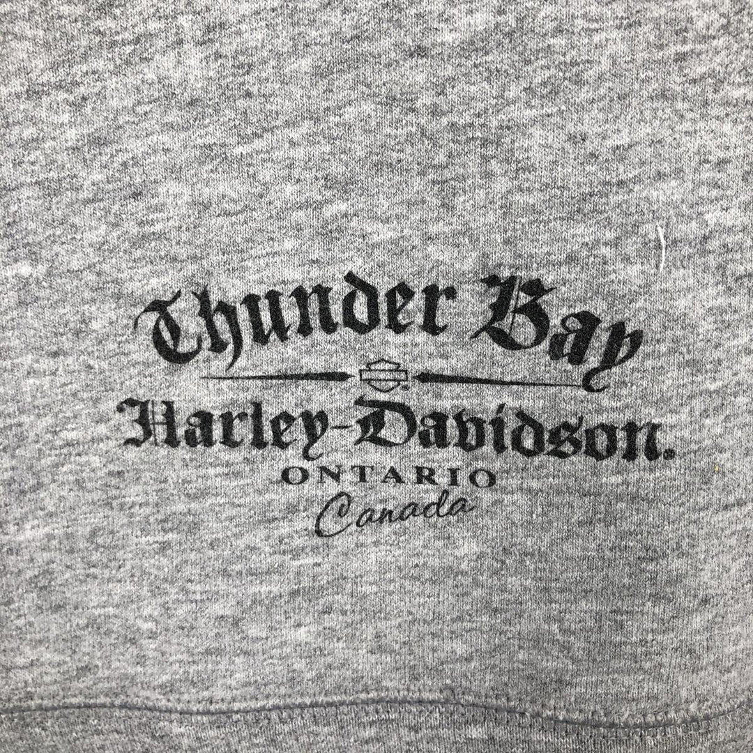 Harley-Davidson Advertising Pullover Hoodie, Men's Size Medium cotton gray type Vintage Second Hand