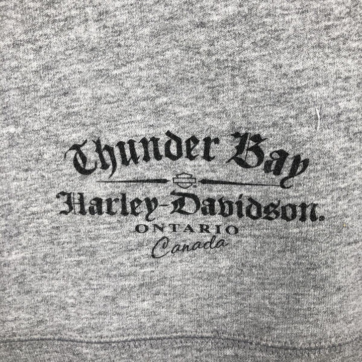 Harley-Davidson Advertising Pullover Hoodie, Men's Size Medium cotton gray type Vintage Second Hand