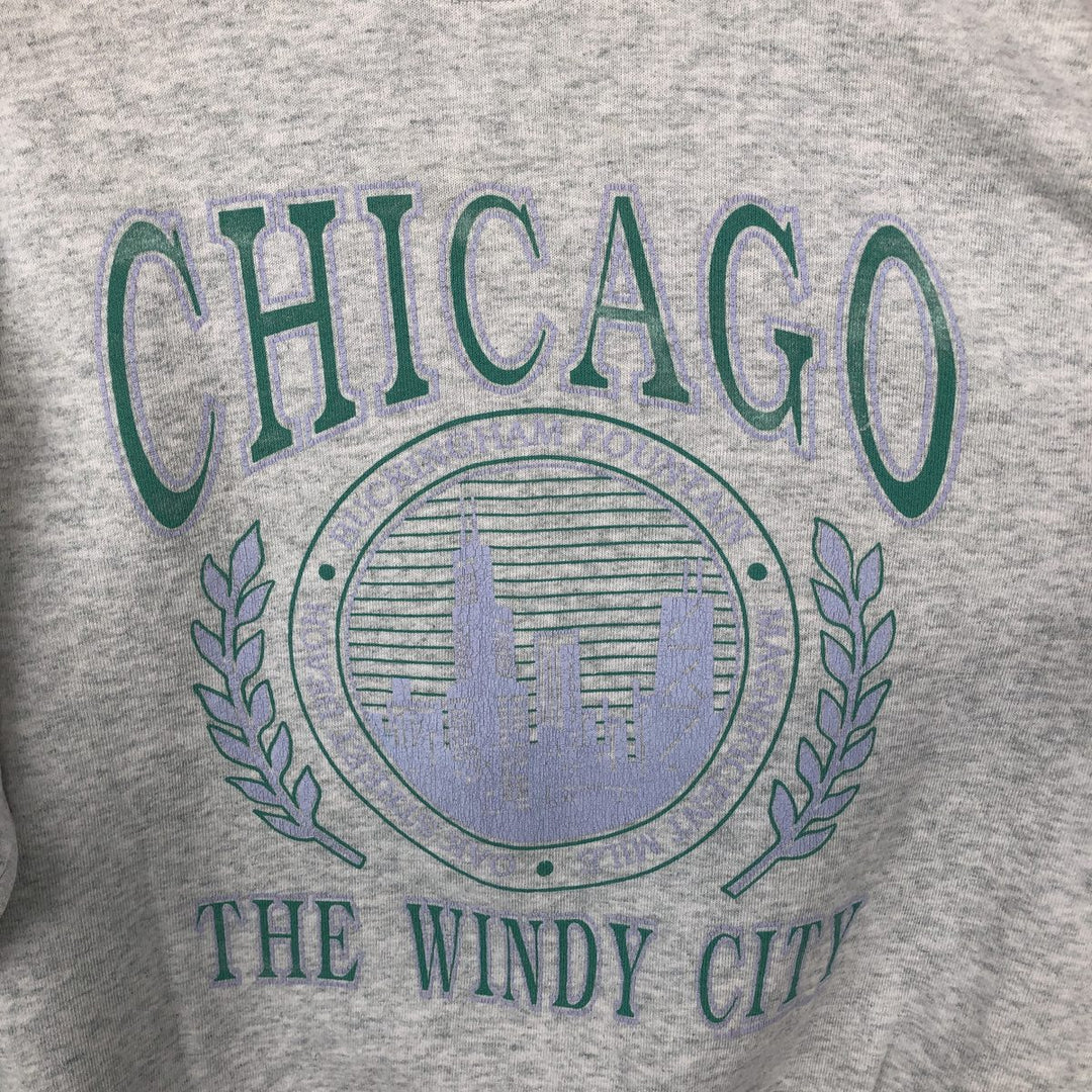 90'S Fruit of the Loom 3-row print college sweatshirt, made in the USA, men's size L, vintage cotton gray type Vintage Second Hand