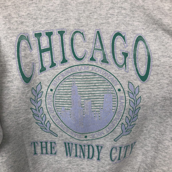 90'S Fruit of the Loom 3-row print college sweatshirt, made in the USA, men's size L, vintage cotton gray type Vintage Second Hand
