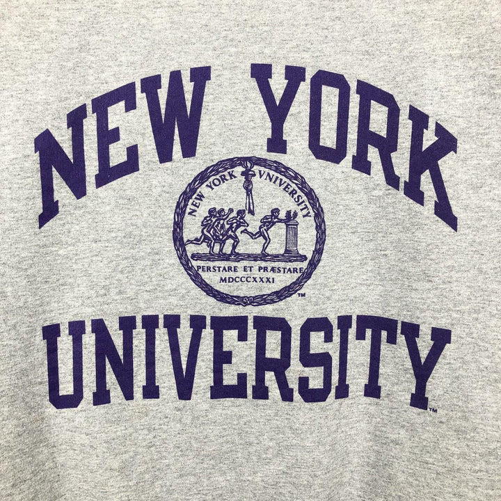 Champion ECO FLEECE 3-Piece Print College Sweatshirt (Men's Size L) unclear gray type Vintage Second Hand