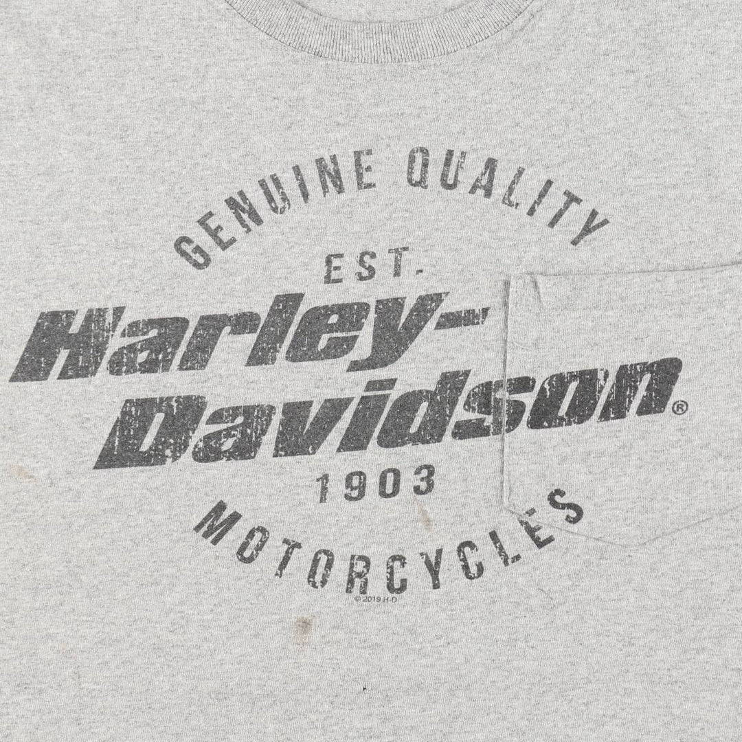 Harley-Davidson Eagle Pattern Motorcycle Bike T-shirt Men's XL cotton gray type Vintage Second Hand
