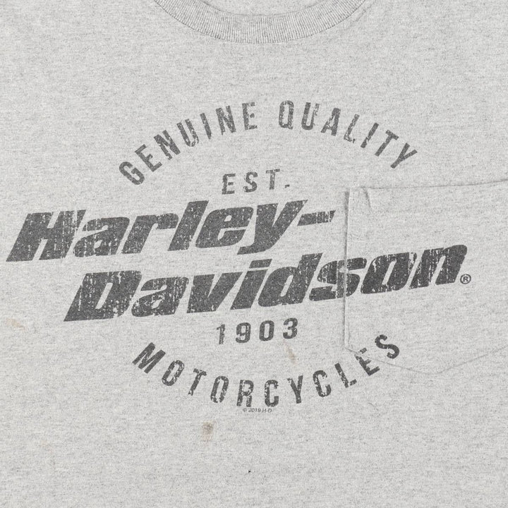 Harley-Davidson Eagle Pattern Motorcycle Bike T-shirt Men's XL cotton gray type Vintage Second Hand