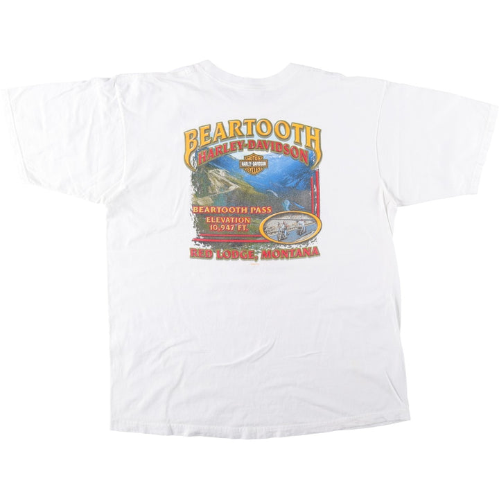 2000'S Harley-Davidson Skull Pattern American Flag Motorcycle T-Shirt, Made in USA, Men's XXL equivalent. cotton white type Vintage Second Hand