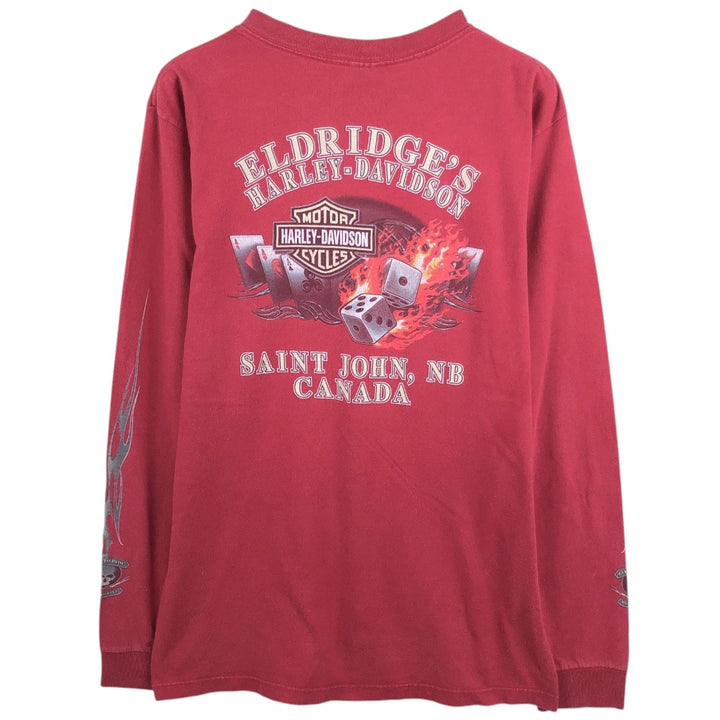 2000'S Harley-Davidson Skull Pattern Fire Pattern Tribal Motorcycle Long-Sleeve T-Shirt (Men's Size M) unclear red type Vintage Second Hand