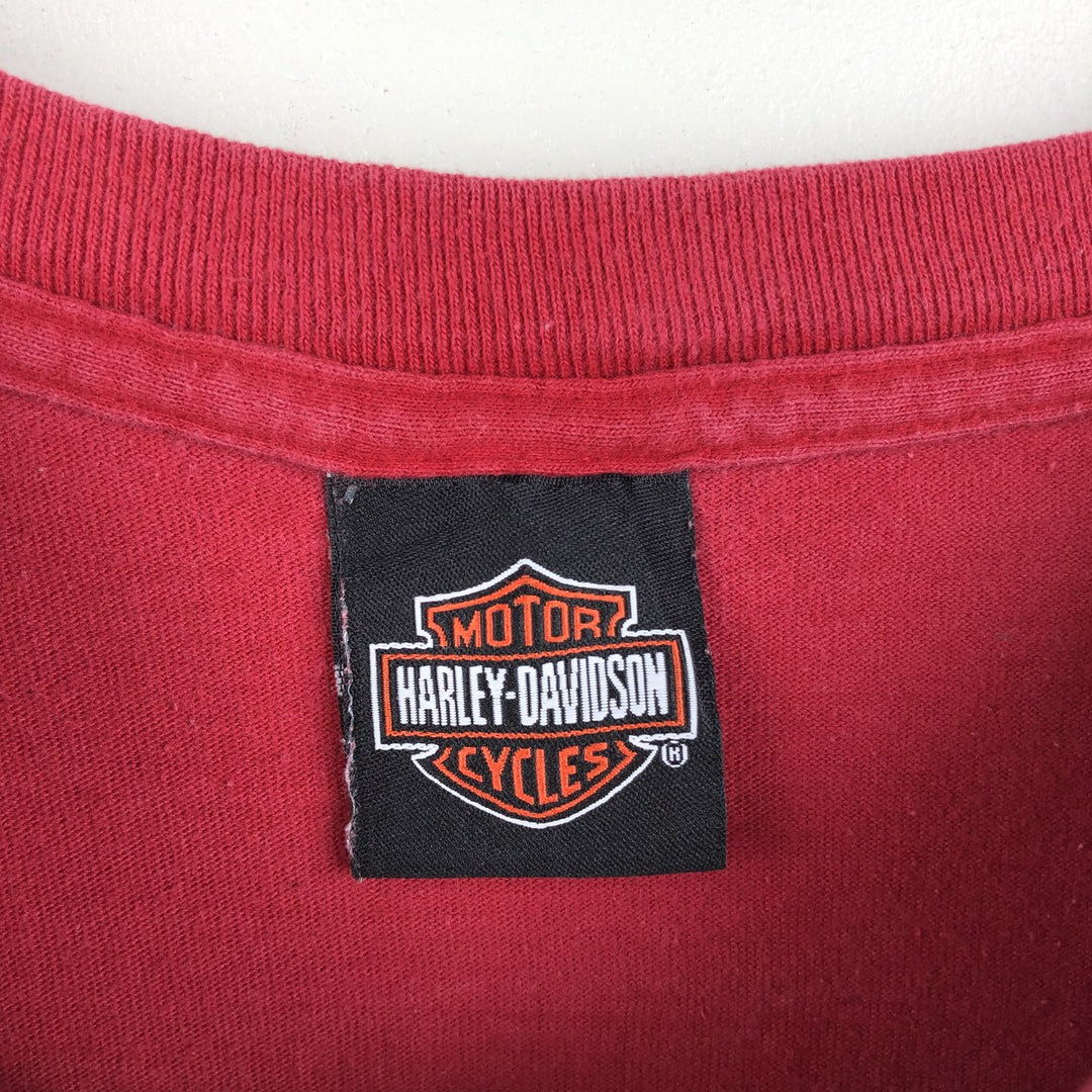 2000'S Harley-Davidson Skull Pattern Fire Pattern Tribal Motorcycle Long-Sleeve T-Shirt (Men's Size M) unclear red type Vintage Second Hand