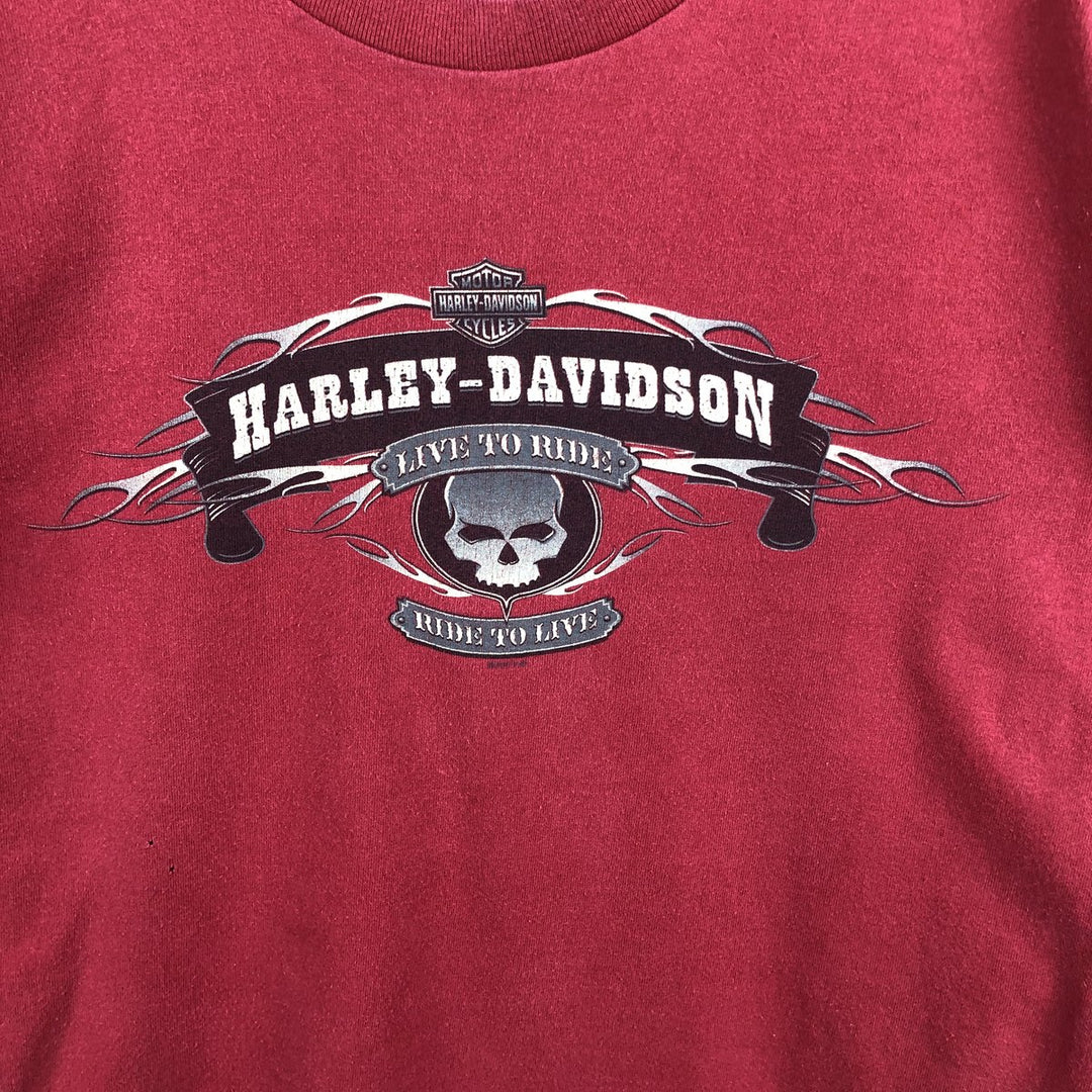 2000'S Harley-Davidson Skull Pattern Fire Pattern Tribal Motorcycle Long-Sleeve T-Shirt (Men's Size M) unclear red type Vintage Second Hand