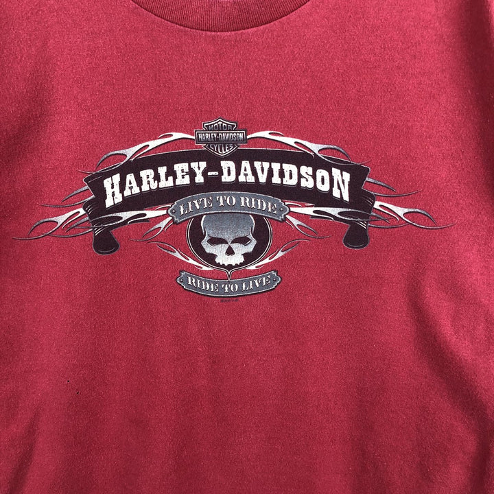 2000'S Harley-Davidson Skull Pattern Fire Pattern Tribal Motorcycle Long-Sleeve T-Shirt (Men's Size M) unclear red type Vintage Second Hand