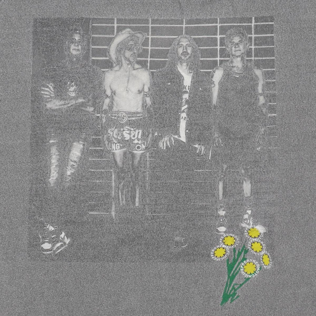 RED HOT CHILI PEPPERS Red Hot Chili Peppers Band T-shirt Band T Men's L size cotton gray type Vintage Second Hand
